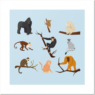 Monkey species Posters and Art